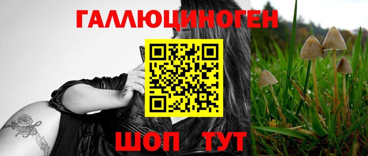 Псилоцибиновые грибы мицелий Кудрово