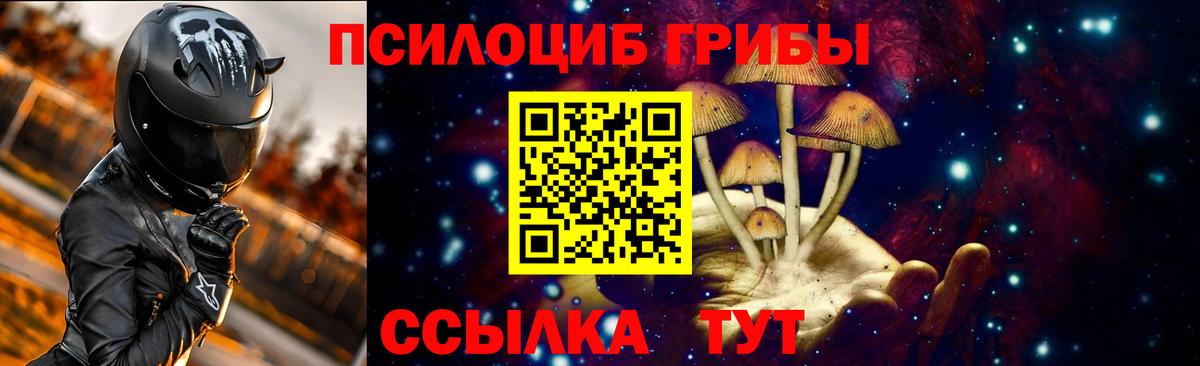 Кудрово  Галлюциногенные грибы Psilocybine cubensis  Вход с VPN 